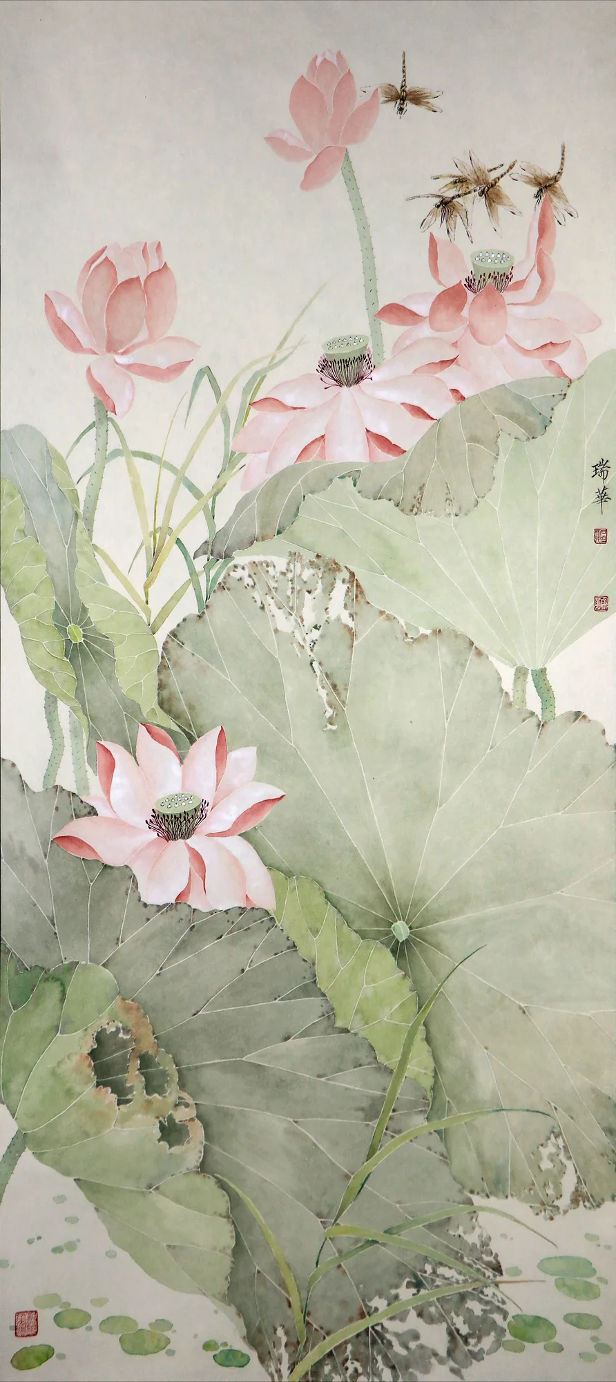 高潔