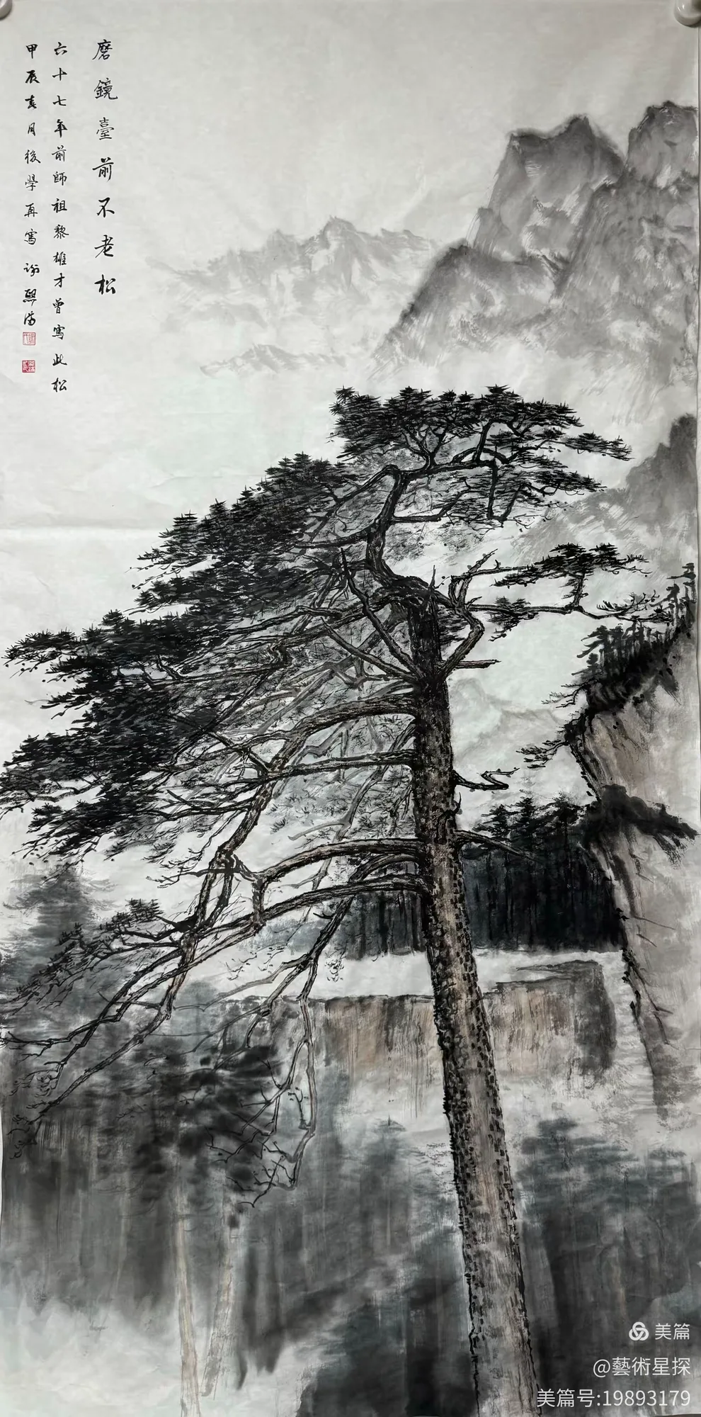 磨鏡臺前不老松