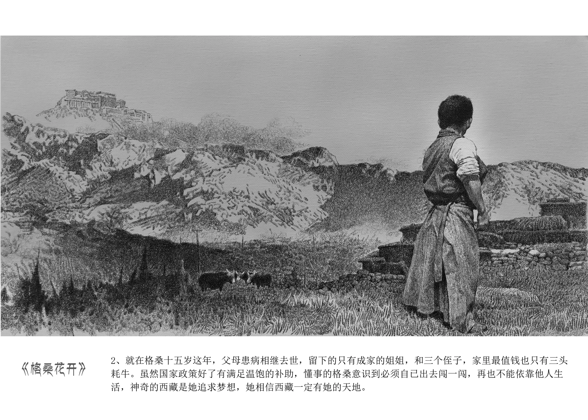 《雪域高原上的格桑花》張思林 - 图片 2