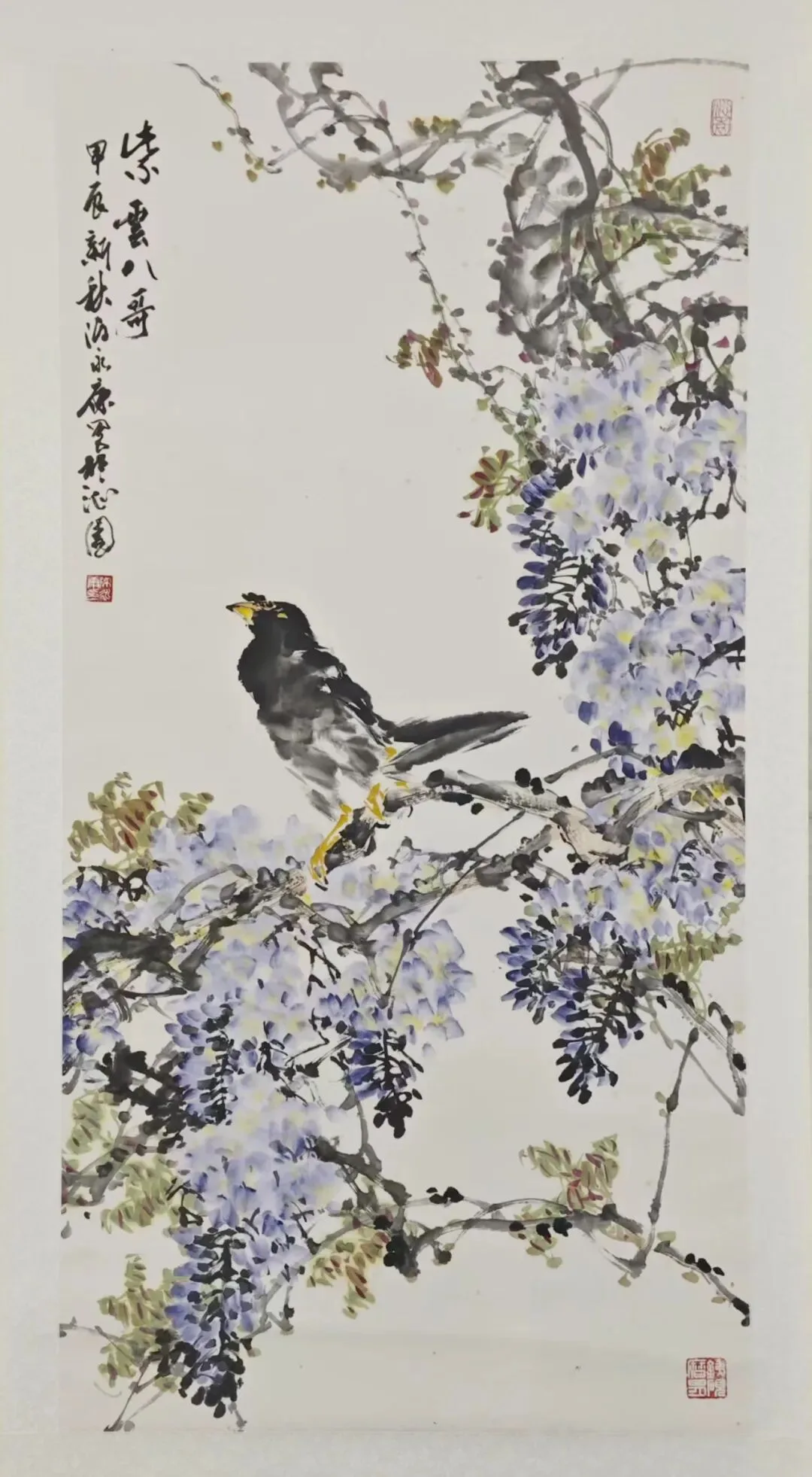 陳永康《紫雲八哥》